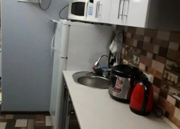 2 комнатные на ришельевской Apartment Odesa